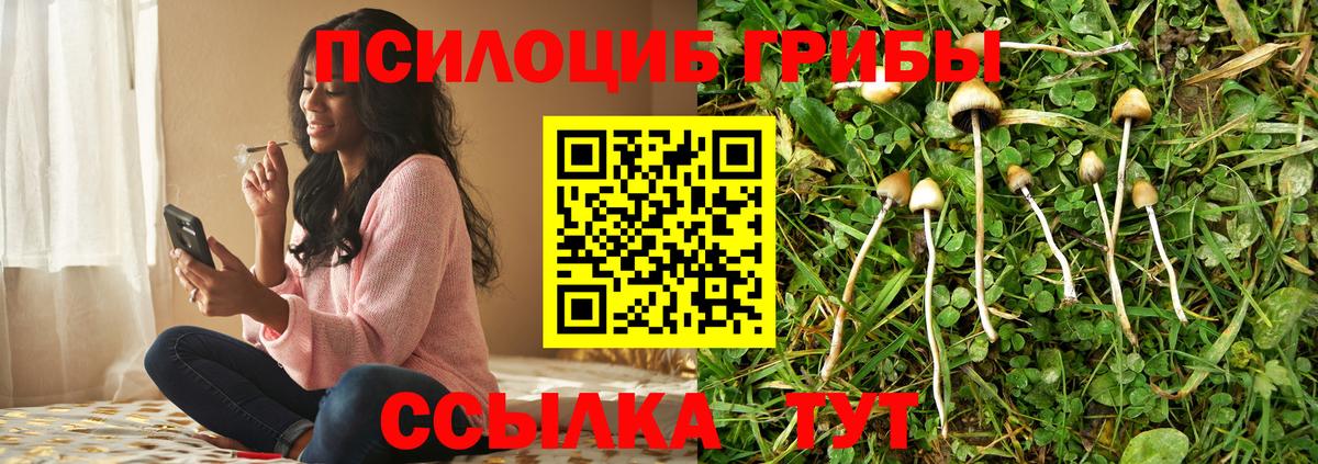 Галлюциногенные грибы ЛСД  Вход с VPN  Азнакаево 
